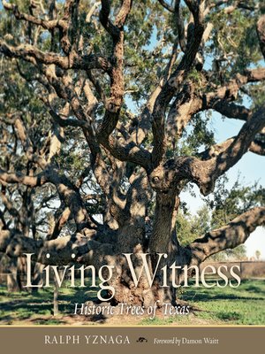 cover image of Living Witness